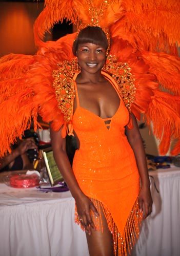 Sunset Masquerade