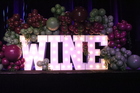 The Philly Wine Fest 2023 (Gallery 3)