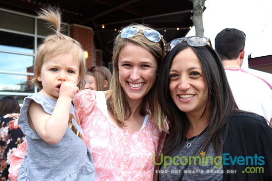 Springfest Live! 2016 (Gallery C)