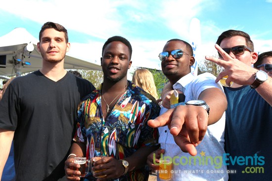 Springfest Live! 2016 (Gallery C)