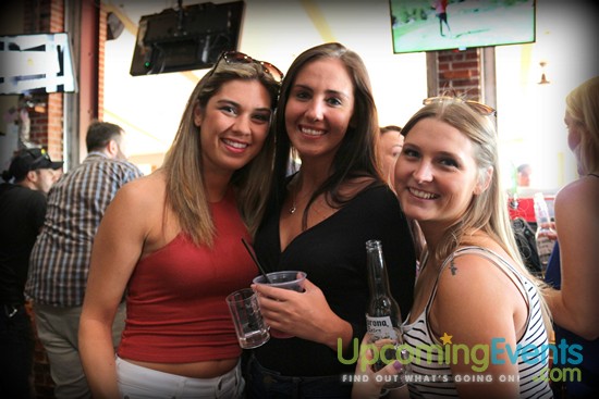 Springfest Live! 2016 (Gallery D)