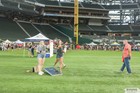 The Arlington All-Star Festival 2022 Gallery 4