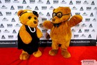Black Tie Tailgate 2023 (The Red Carpet)