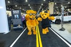 Black Tie Tailgate 2024 (General Event Photos)