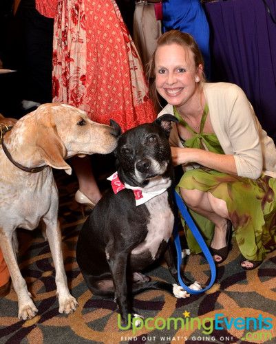 Good Dog Gala