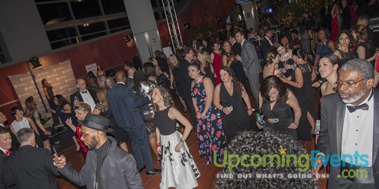 The 2017 Red Ball