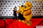 Black Tie Tailgate 2023 (The Red Carpet)