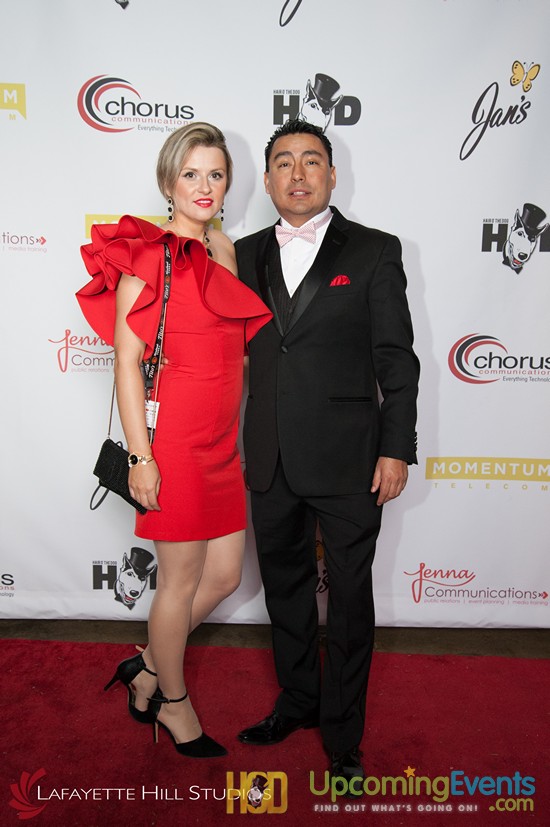 Hair O' The Dog 2017 (Red Carpet)