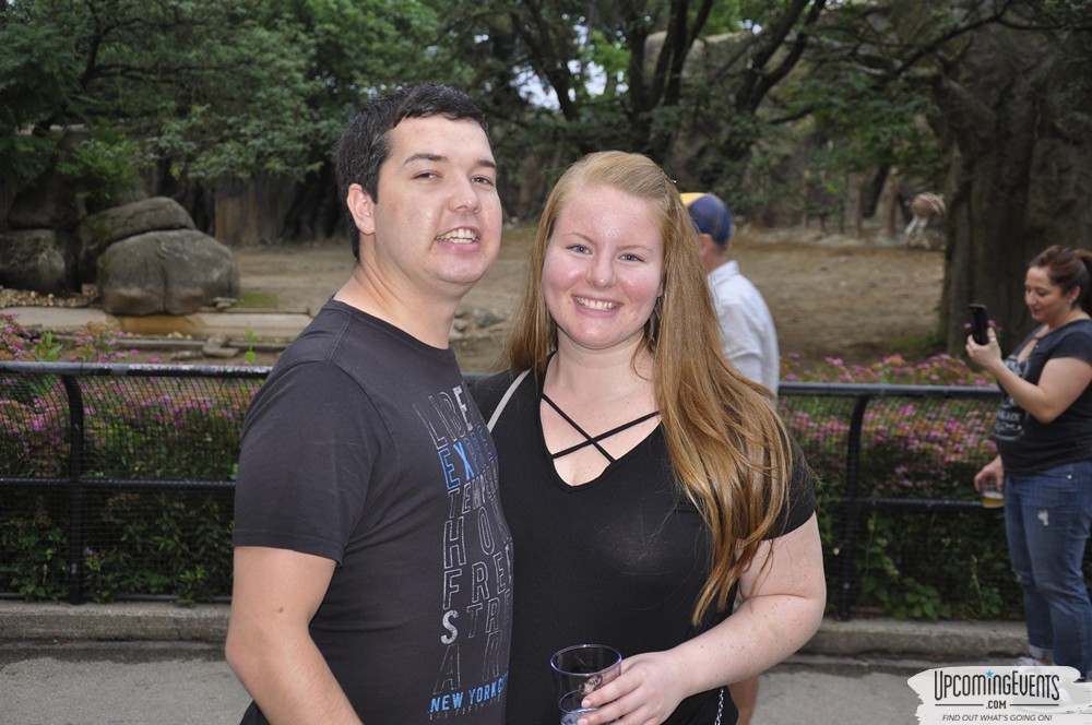 Summer Ale Festival at The Phladelphia Zoo