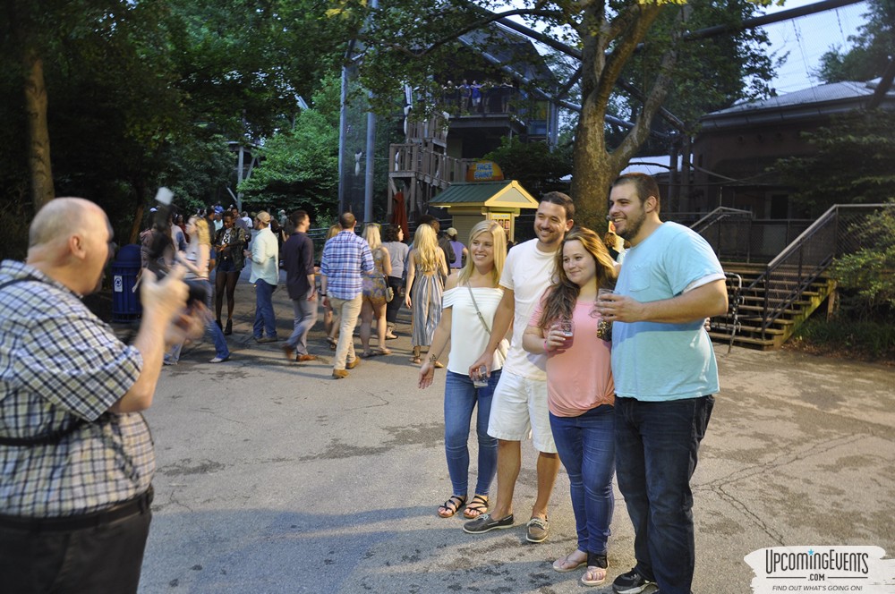 Summer Ale Festival at The Phladelphia Zoo