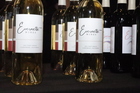 The Philly Wine Fest 2023 (Gallery 3)