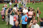 The Arlington All-Star Festival 2022 Gallery 1