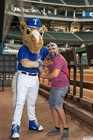 The Arlington All-Star Festival 2022 Gallery 3