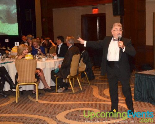 Bad Dog Ball