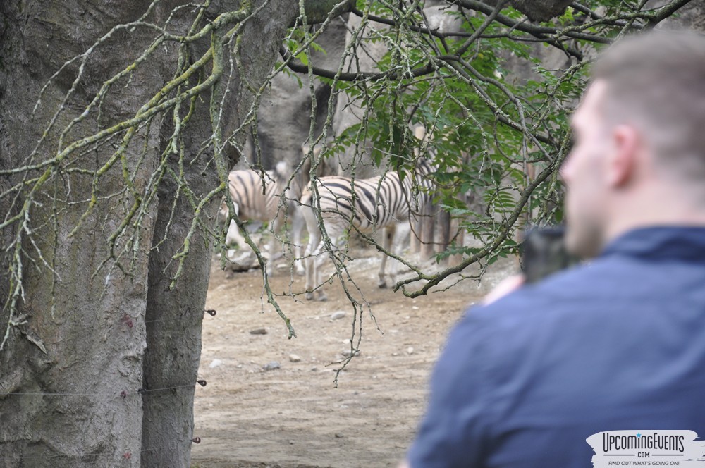 Summer Ale Festival at The Phladelphia Zoo