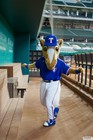 The Arlington All-Star Festival 2022 Gallery 2
