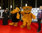 Black Tie Tailgate 2024 (The Red Carpet)