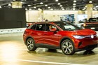 Black Tie Tailgate 2024 (General Event Photos)
