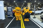 Black Tie Tailgate 2024 (General Event Photos)