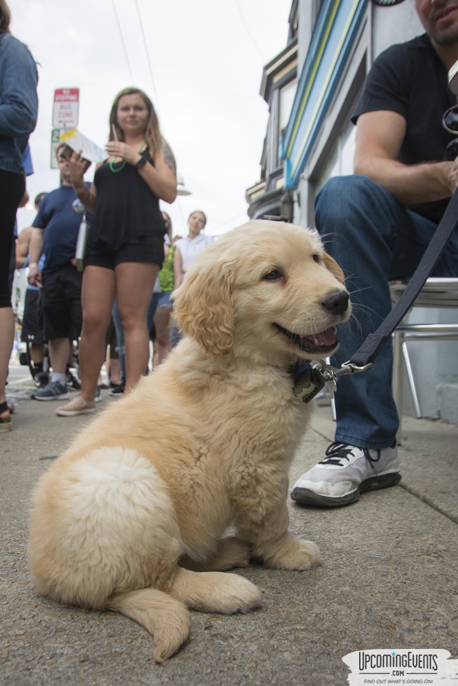 Manayunk Mac & Cheese Crawl