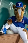 The Arlington All-Star Festival 2022 Gallery 3