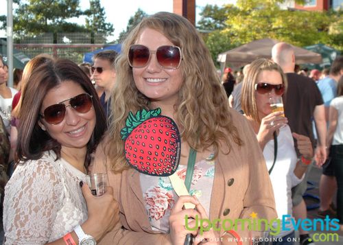 6th Annual Beer Fest at the Ballpark