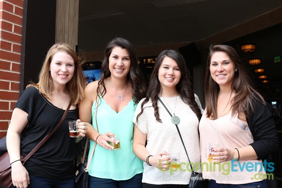 Springfest Live! 2016 (Gallery D)