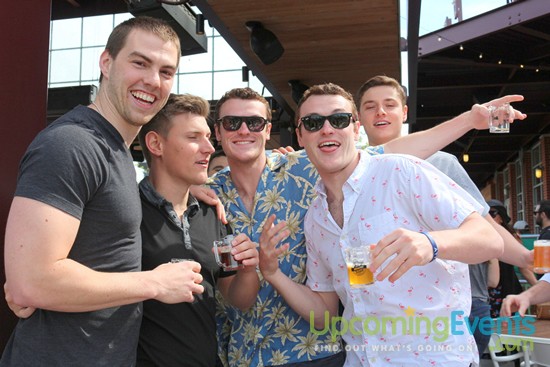 Springfest Live! 2016 (Gallery D)