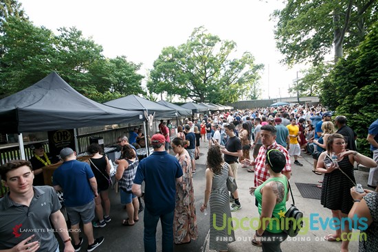 Summer Ale Festival at The Zoo!