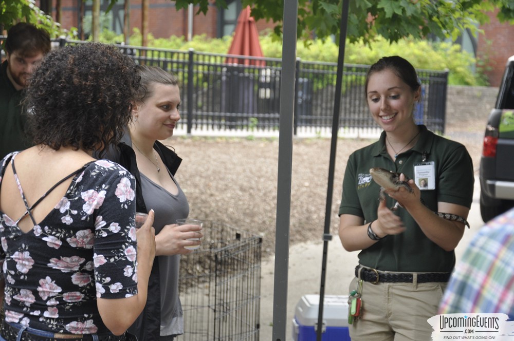 Summer Ale Festival at The Phladelphia Zoo