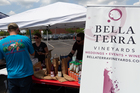 Summerfest Live! Craft Beer & Wine Festival
