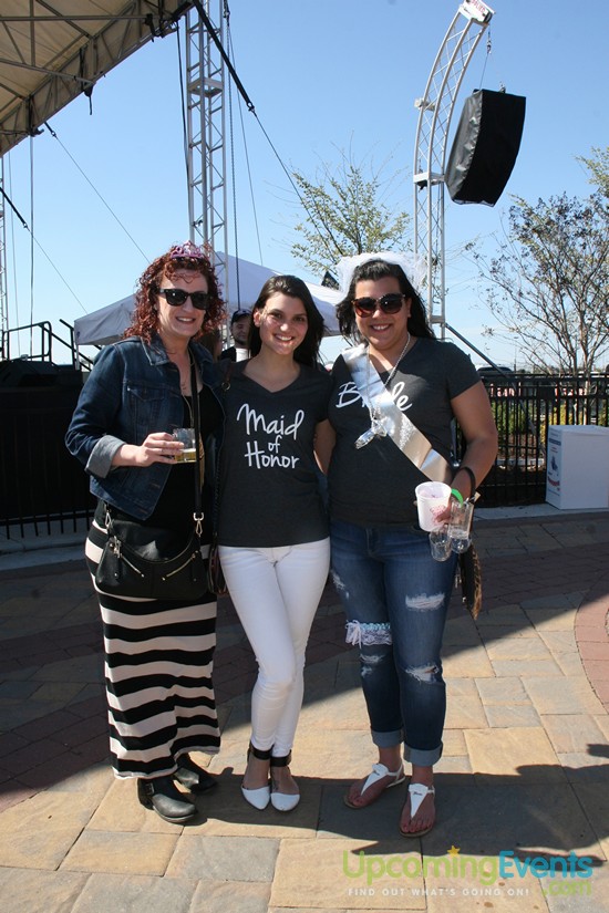 Springfest Live! Craft Beer Fest (Gallery B)