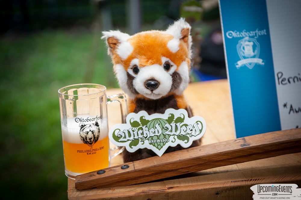 OktoBEARfest at the Philadelphia Zoo