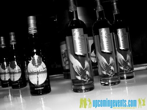 Let's Do Cocktails