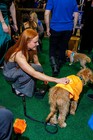 Black Tie Tailgate 2025 (General Event Photos)