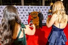 Black Tie Tailgate 2026 (The Red Carpet)