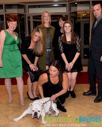 Bad Dog Ball