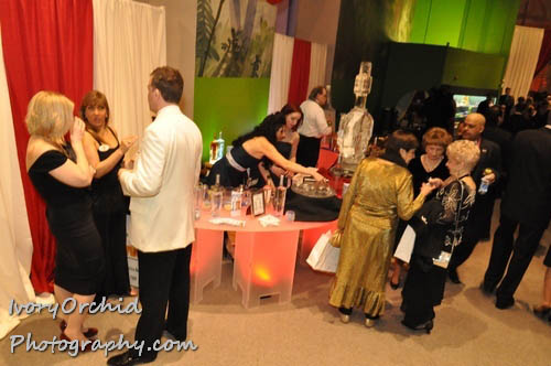 The 2009 Red Ball at The Please Touch Museum
