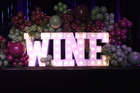The Philly Wine Fest 2023 (Gallery 3)