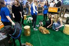 Black Tie Tailgate 2024 (General Event Photos)