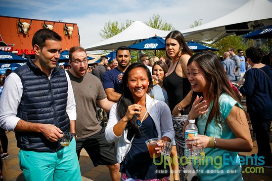 Springfest Live! 2016 (Gallery A)