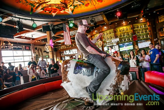 Springfest Live! 2016 (Gallery A)