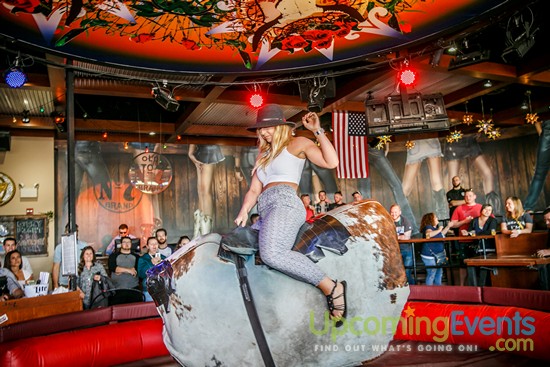 Springfest Live! 2016 (Gallery A)