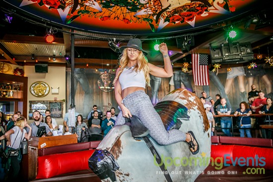 Springfest Live! 2016 (Gallery A)