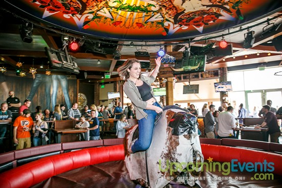 Springfest Live! 2016 (Gallery A)