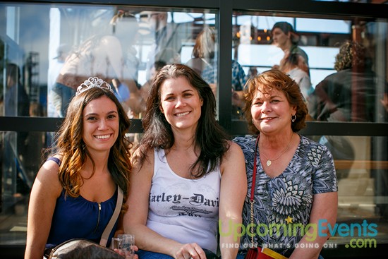 Springfest Live! 2016 (Gallery A)