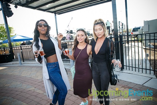 Springfest Live! 2016 (Gallery A)