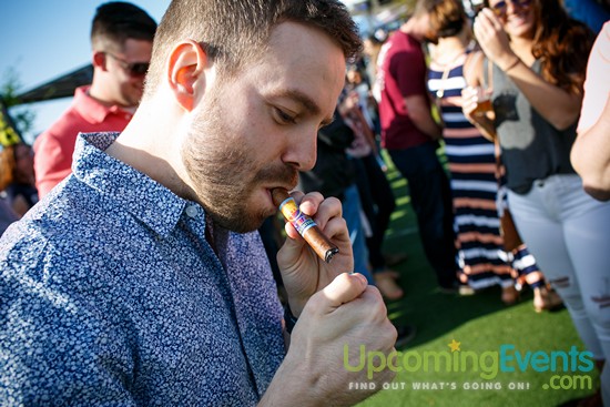 Springfest Live! 2016 (Gallery A)