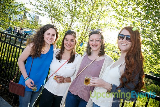 Springfest Live! 2016 (Gallery A)