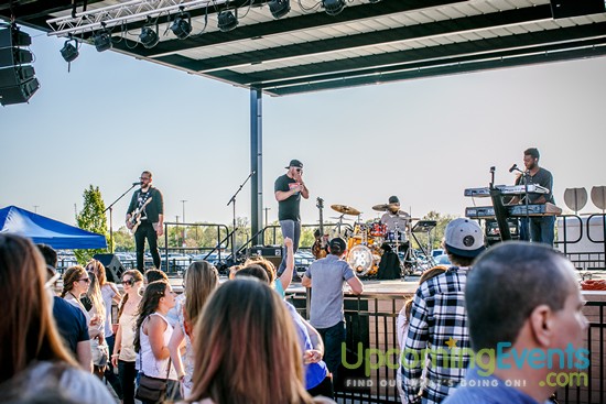 Springfest Live! 2016 (Gallery A)